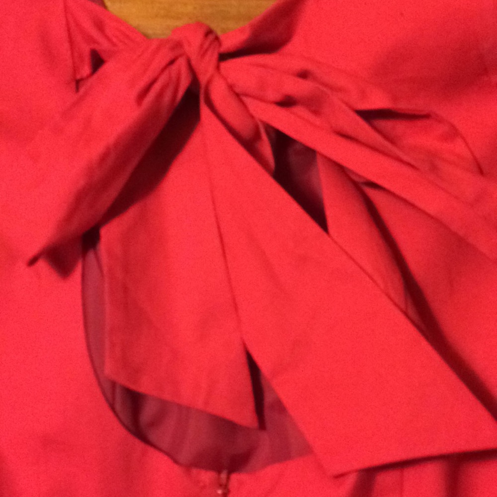 Lauren James dress - Picture 4 of 6